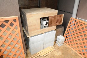 DSC_1511修正