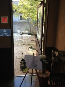 IMG_5406編集