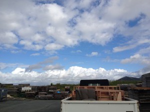 IMG_6050修正