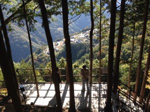 IMG_6559修正